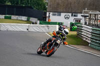 Middle Group Orange Bikes